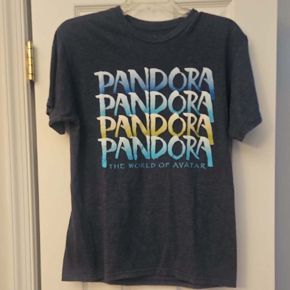 Pandora Disney Parks Dark Gray T-Shirt